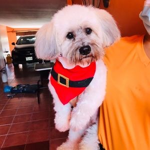 Meet your Posher, Rafael